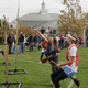Illustration for article titled Real Life Muggle Quidditch Is Sweeping The Nation